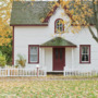 Breathe Easier: How Trees Naturally Purify the Air Around Your Home
