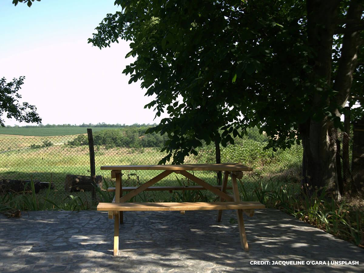 Creation of Green Spaces