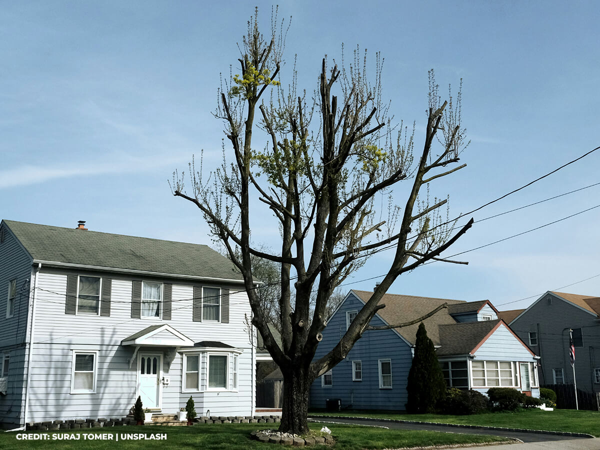 Providing Dynamic Seasonal Interest