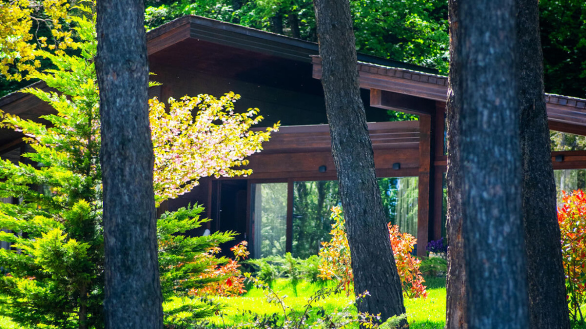 The Cooling Power of Nature: Unveiling the Benefits of Shade Trees