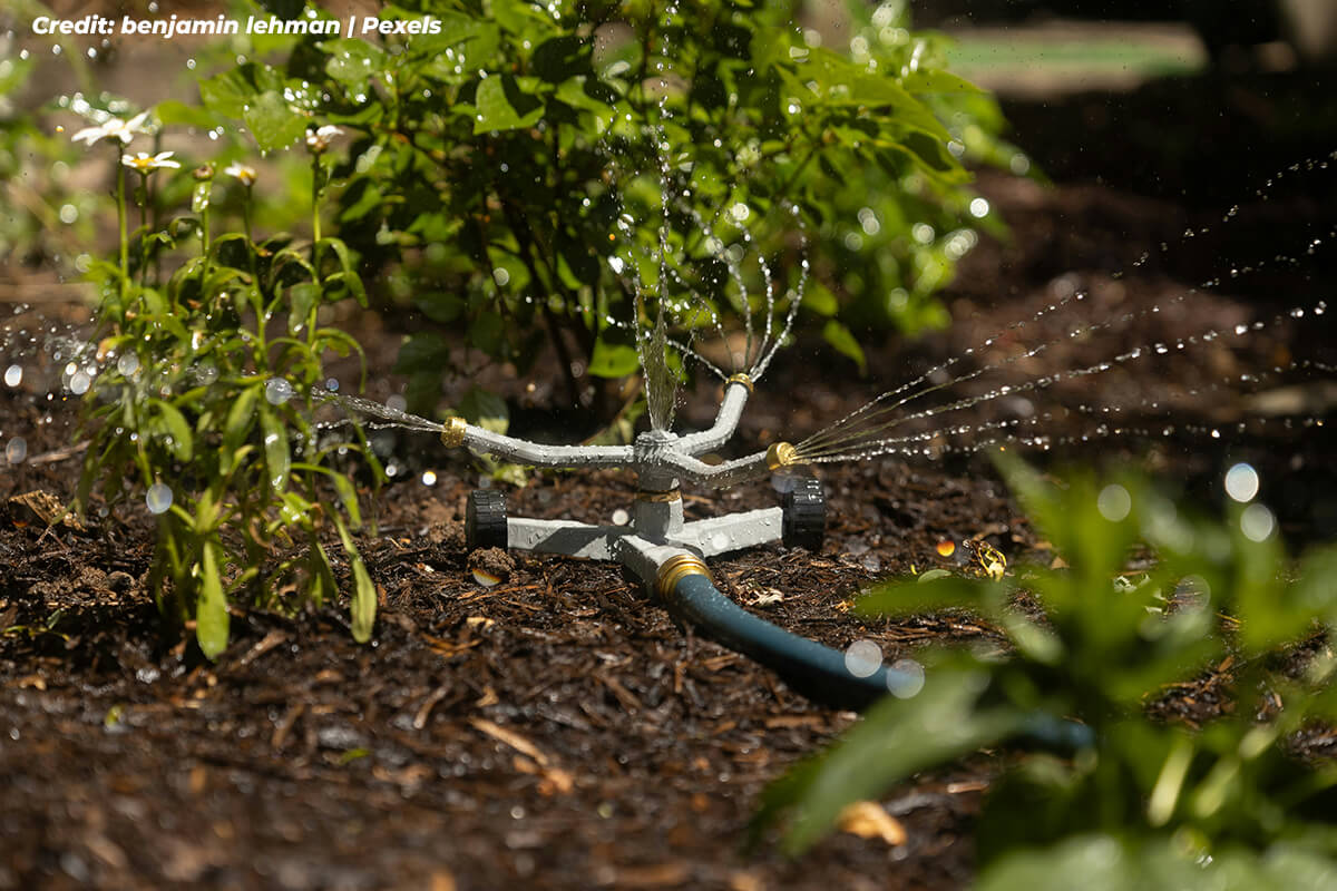 Deep and Deliberate Watering