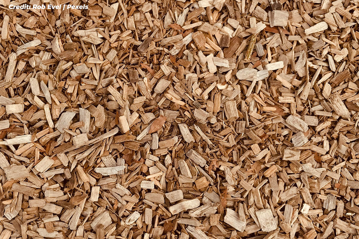 Employ Mulch, the Unsung Hero of Hydration