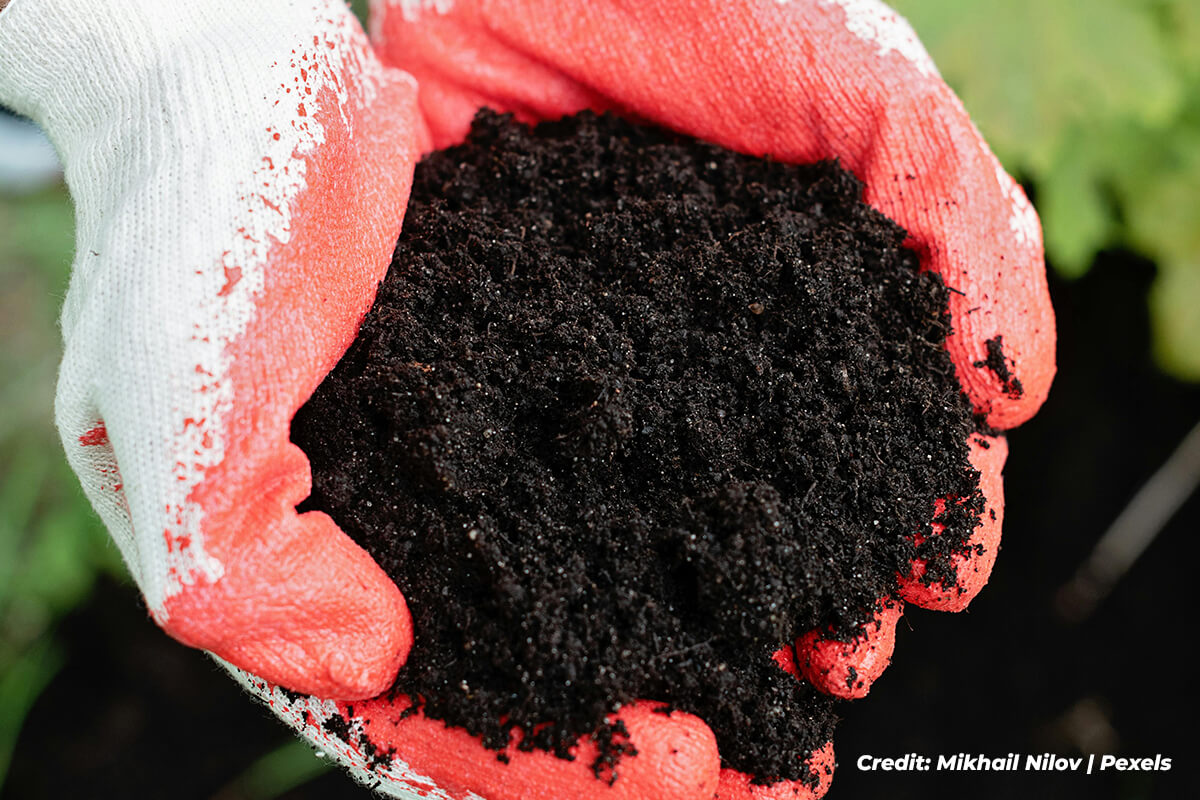 Conduct a Thorough Visual Inspection