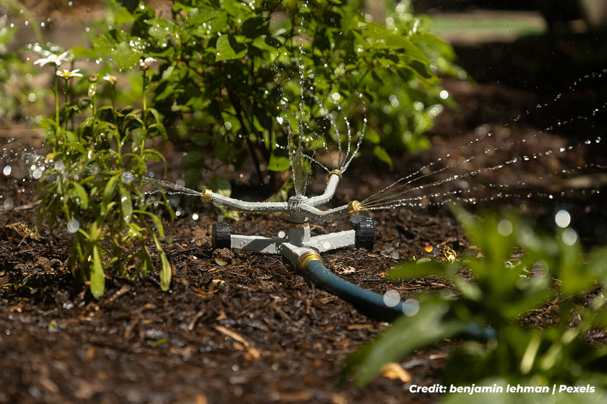 Master the Art of Deep Watering