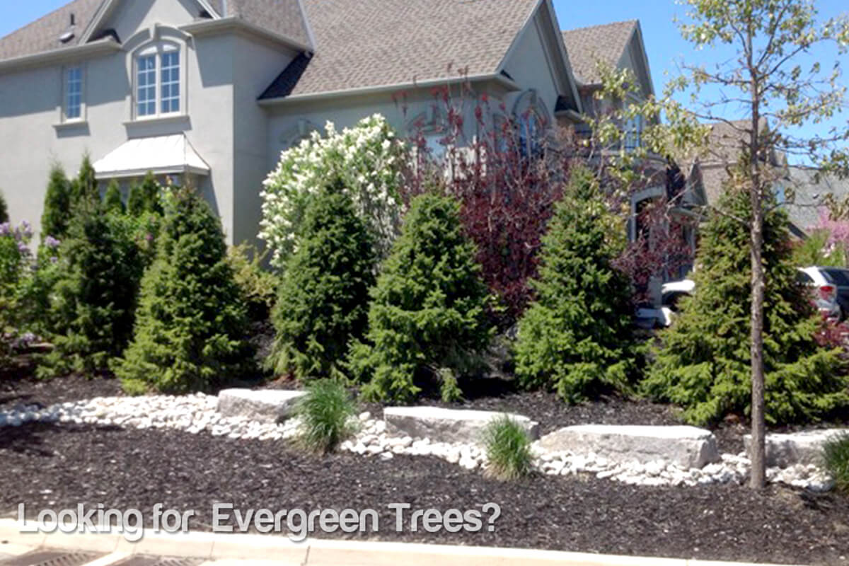 Plant Your Legacy with Confidence