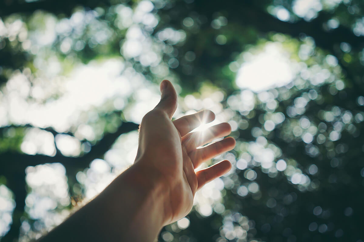 Sunlight: The Engine of Growth 