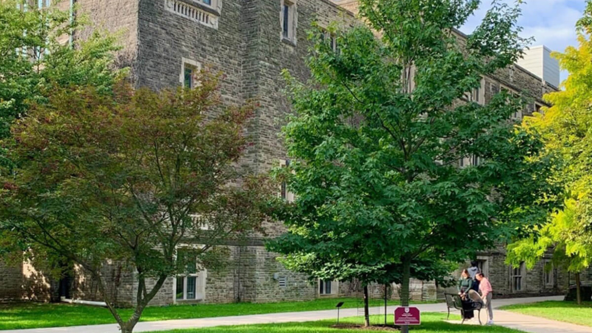 Are Your Trees Ready for the Frost? A Guide to Winter Preparation