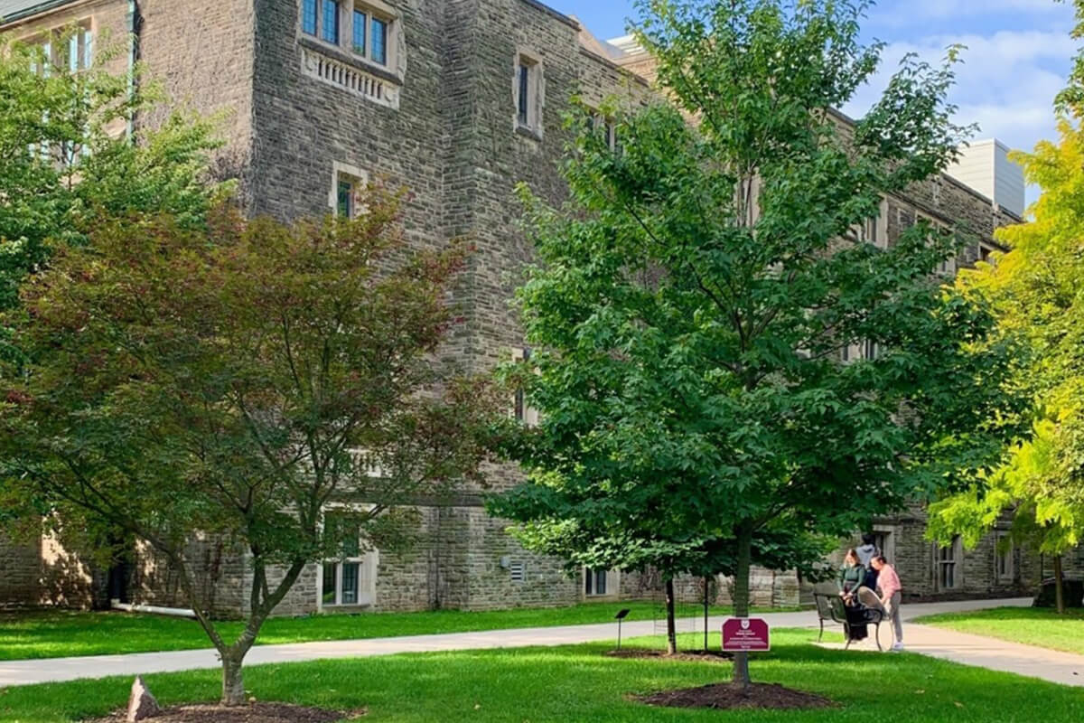 Are Your Trees Ready for the Frost? A Guide to Winter Preparation