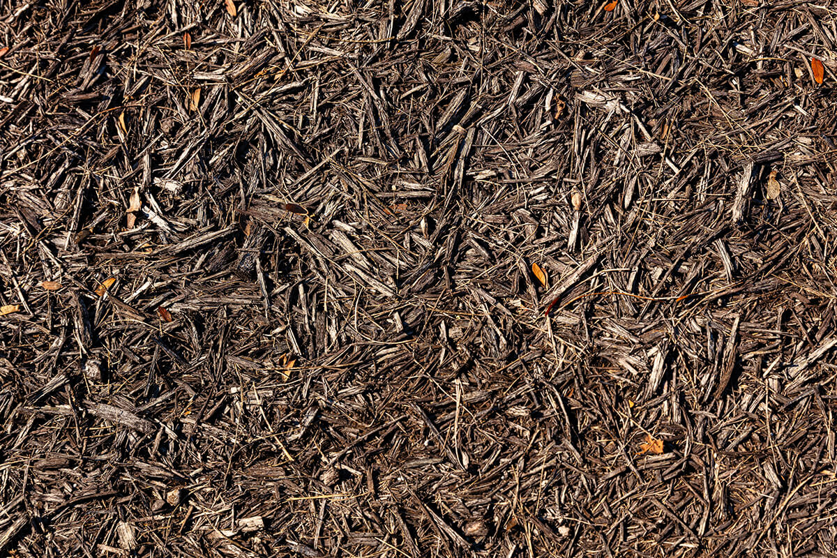 Apply Mulch Correctly