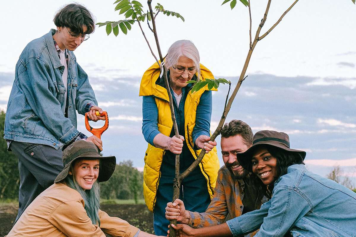 Handle and Plant the Tree with Care