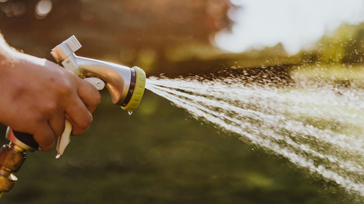 Are You Watering Your Trees Enough During the Cold, Dry Winter Months?