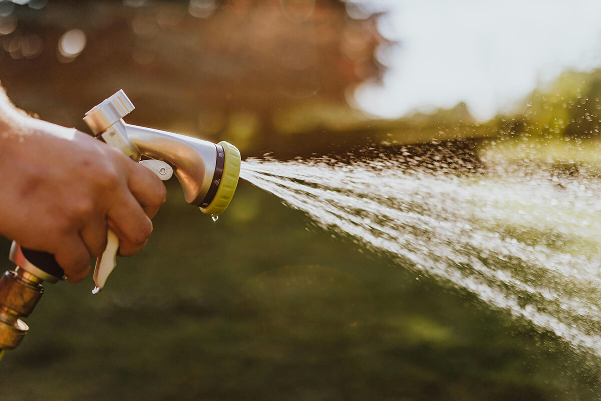 Are You Watering Your Trees Enough During the Cold, Dry Winter Months?
