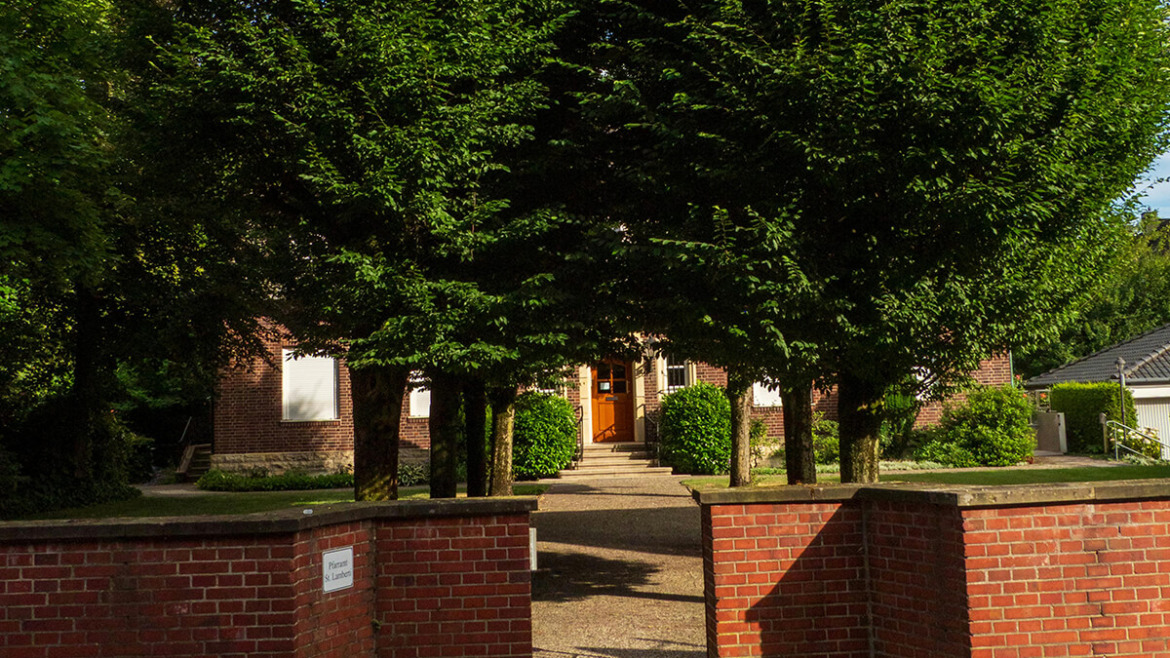 From Nosy Neighbors to Peaceful Retreats: The Ultimate Guide to Privacy Trees