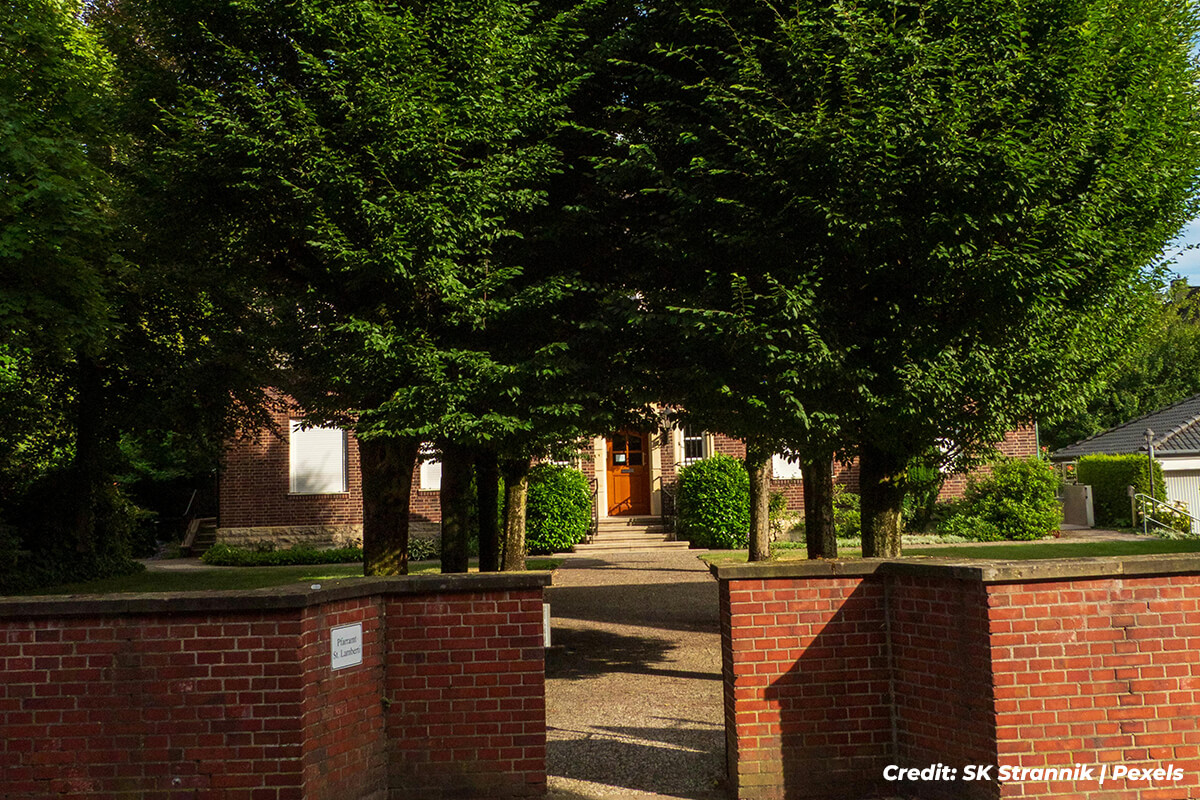 From Nosy Neighbors to Peaceful Retreats: The Ultimate Guide to Privacy Trees