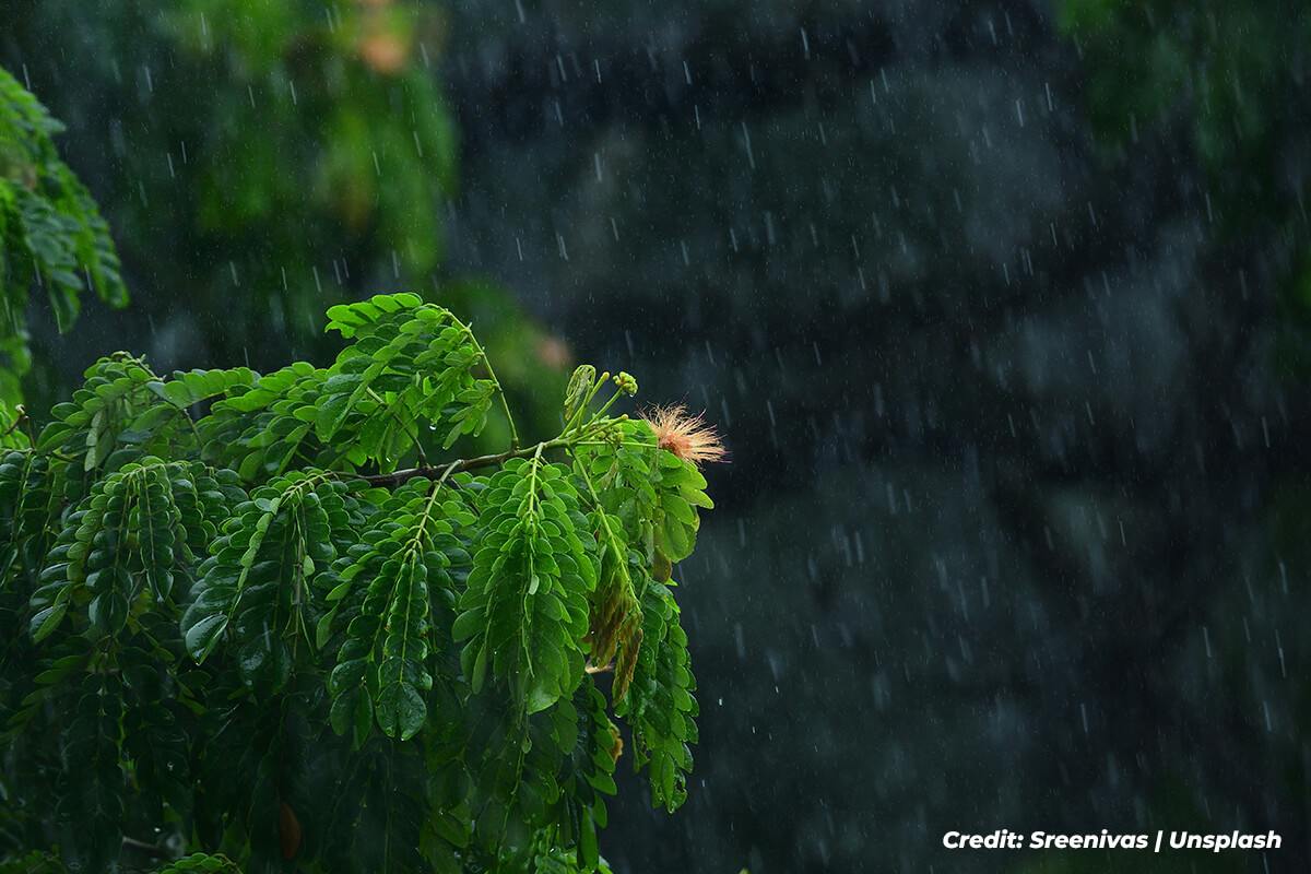 Stormwater Management