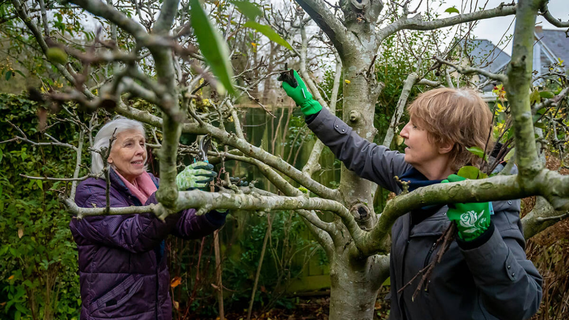 Think You’re Helping? Common Mistakes That Hurt Your Trees