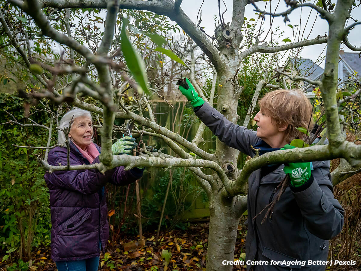 Think You’re Helping? Common Mistakes That Hurt Your Trees