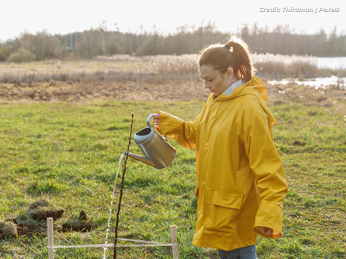 Watering on a Human Schedule