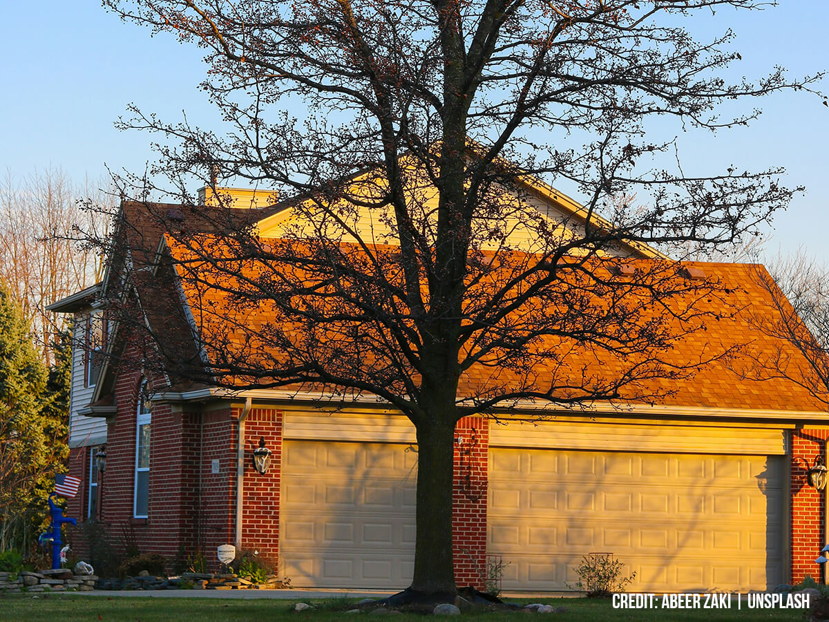 The Economics of Cool: A Detailed Analysis of How Shade Trees Reduce Energy Costs