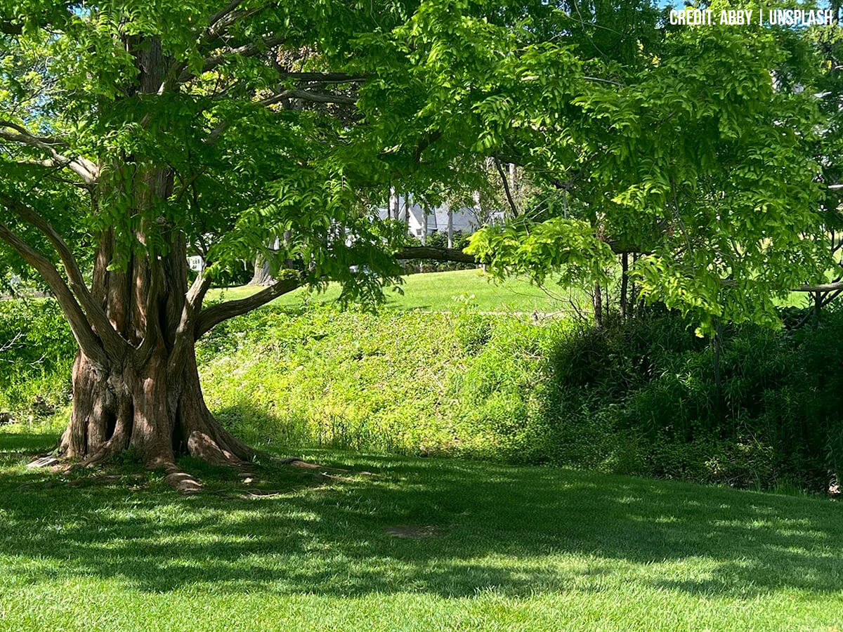 The Physics of Solar Radiation Blockage