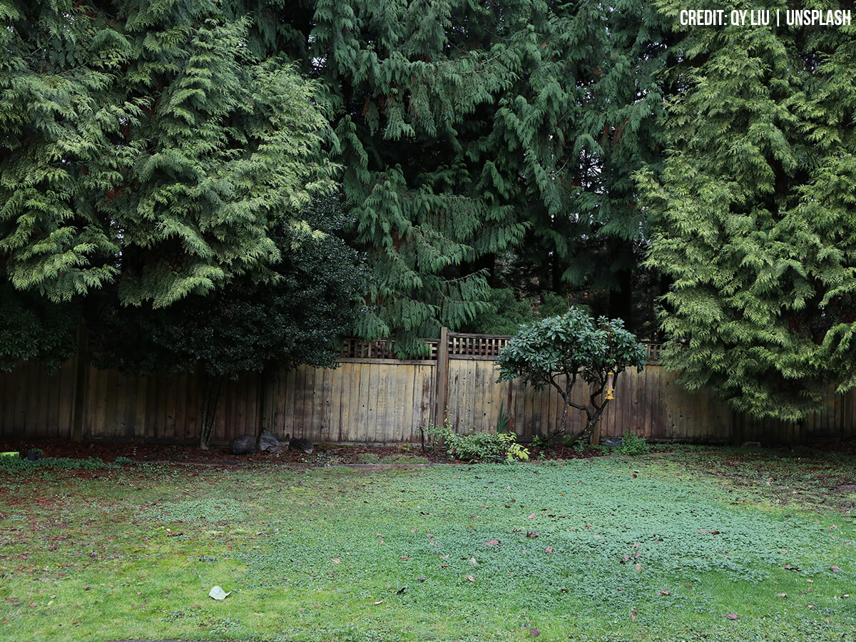 Wind Mitigation and Microclimate Creation