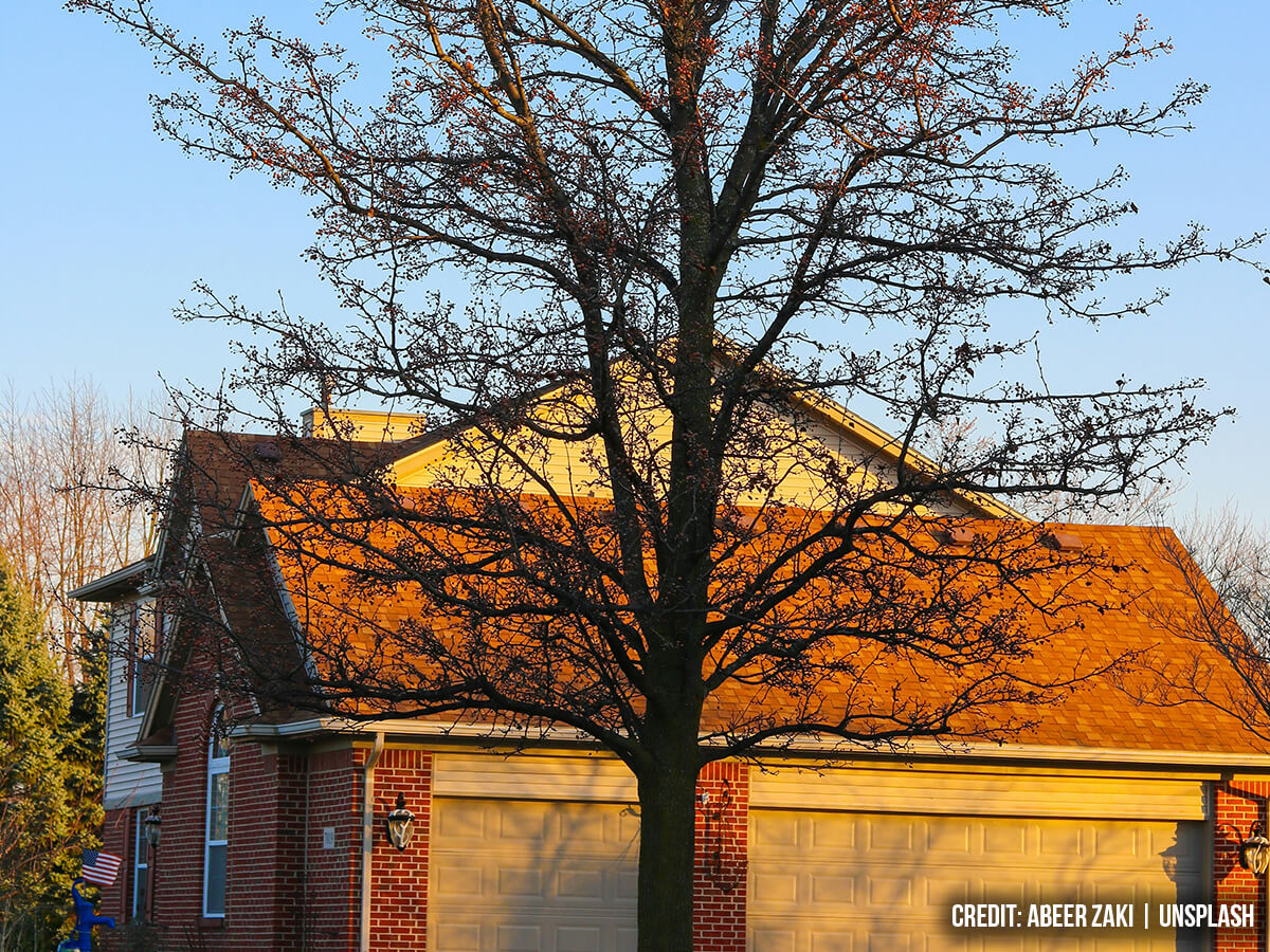 The Cooling Effect of Transpiration