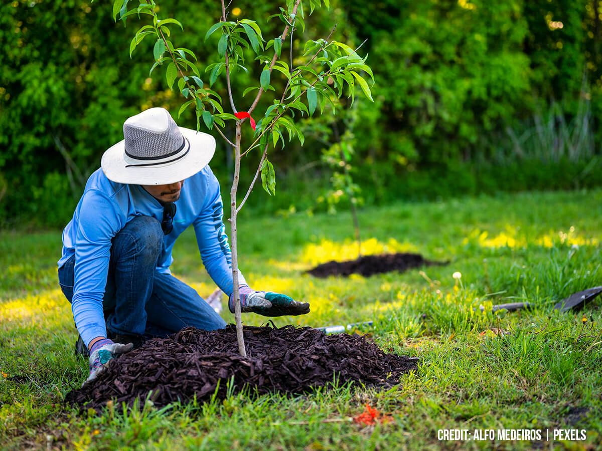 The Foundation of Thermal Regulation