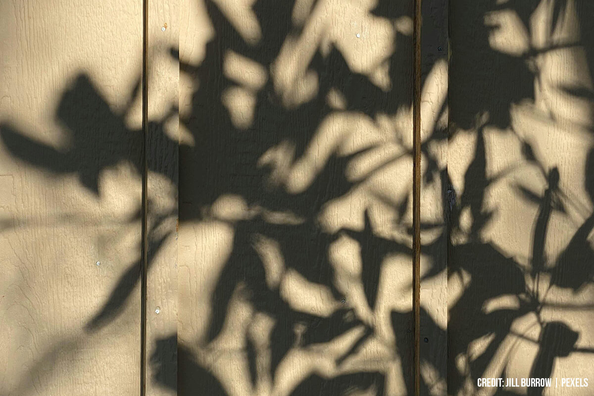 Monitor Sun Exposure and Path