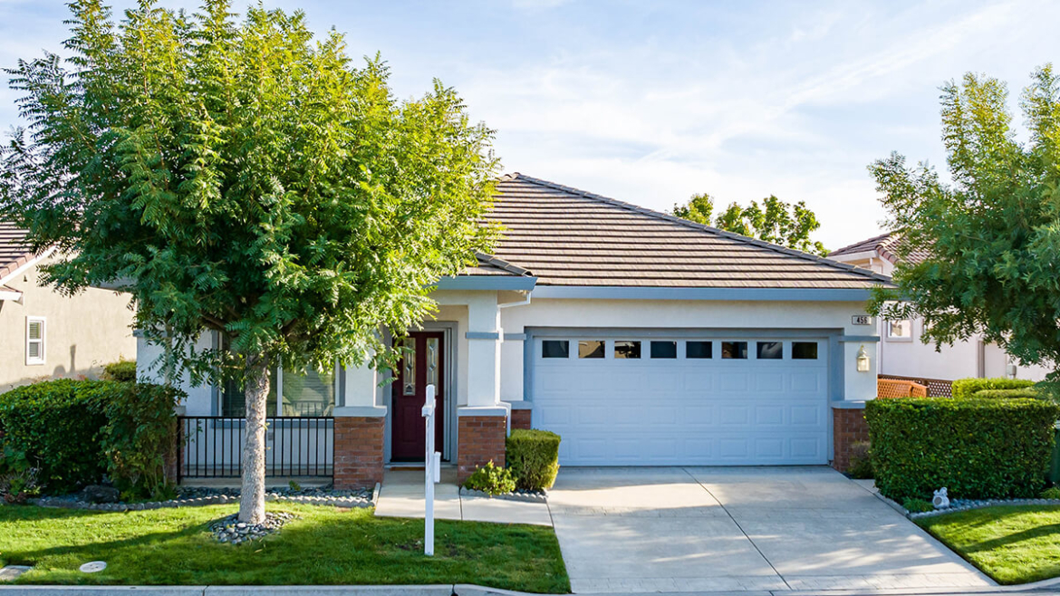 Have You Met Your Natural Air Conditioner? How Shade Trees Slash Your Cooling Bills