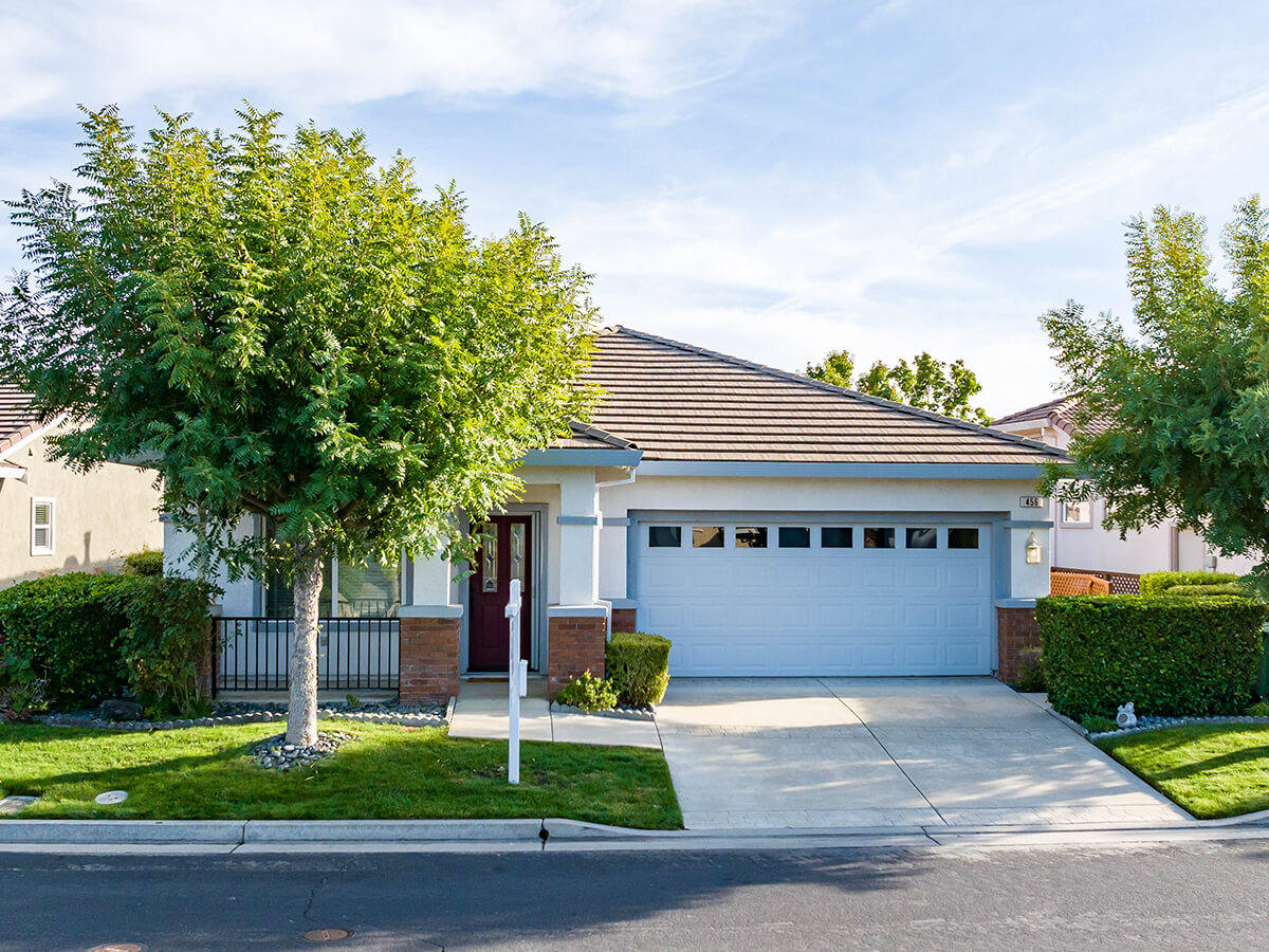 Have You Met Your Natural Air Conditioner? How Shade Trees Slash Your Cooling Bills