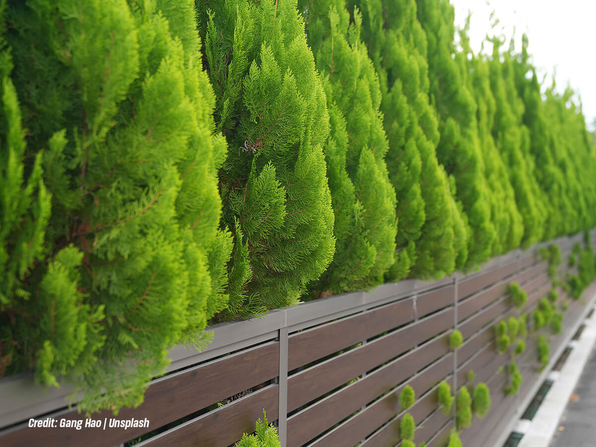 Do Healthy Root Systems Help Anchor the Soil (1)