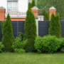 Want to Keep the Wind Away? 7 Ways Your Trees Shield Your Home from High Winds