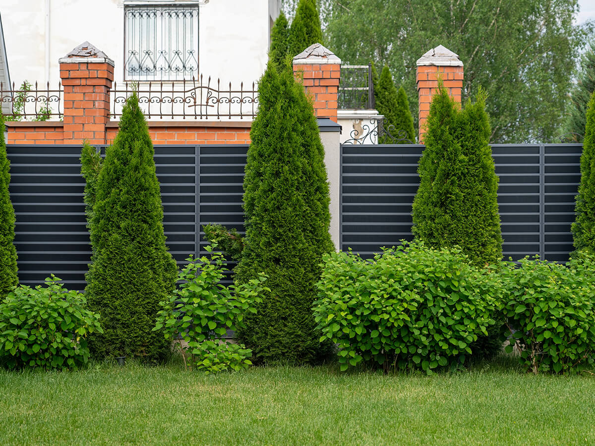 Want to Keep the Wind Away? 7 Ways Your Trees Shield Your Home from High Winds