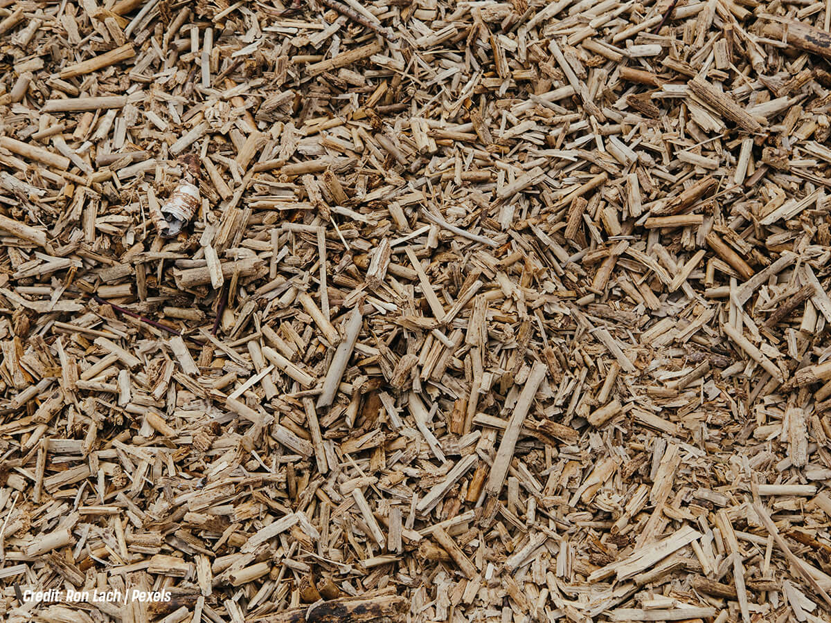 Have You Refreshed the Mulch Layer